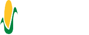 Wyffels Corn Hybrids