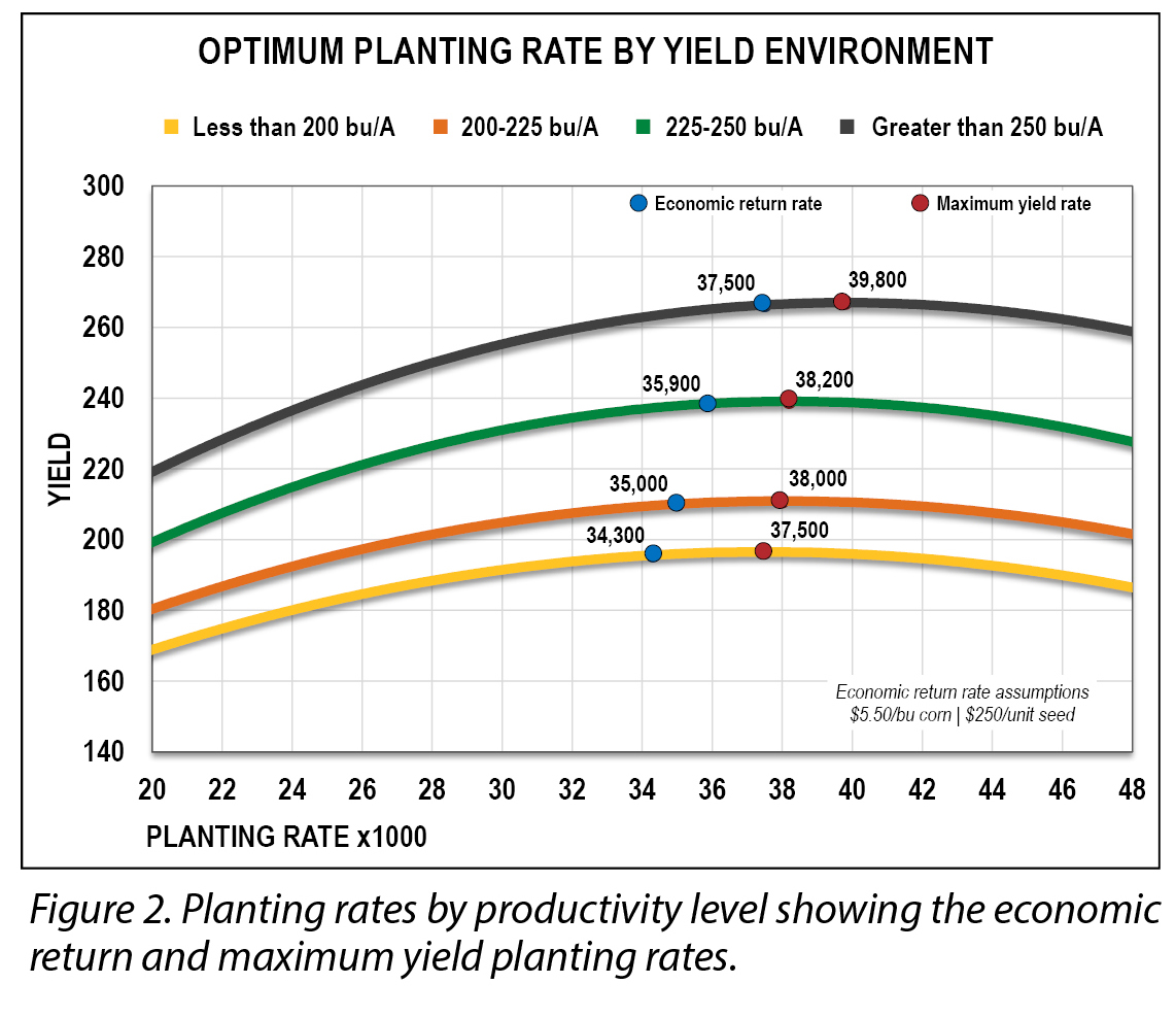 Choosing the Right Planting Rate Wyffels Corn Hybrids