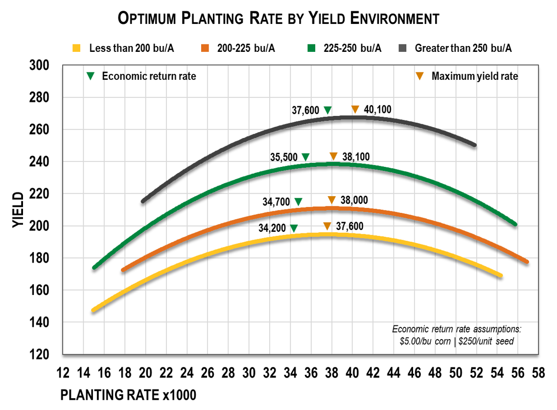 Choosing the Right Planting Rate Wyffels Corn Hybrids