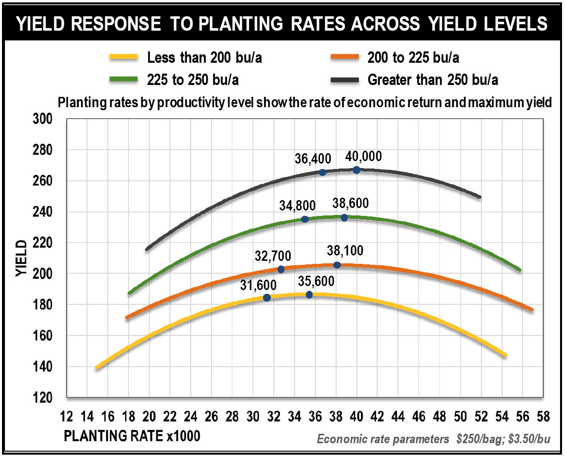 Choosing the Right Planting Rate Wyffels Corn Hybrids