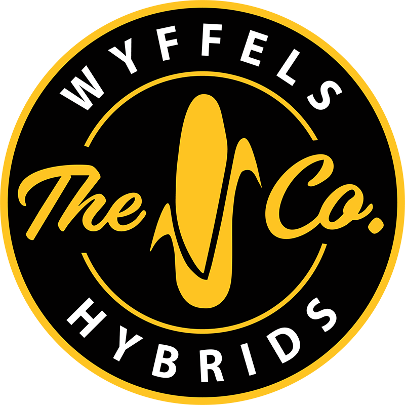 The Corn Company Logo